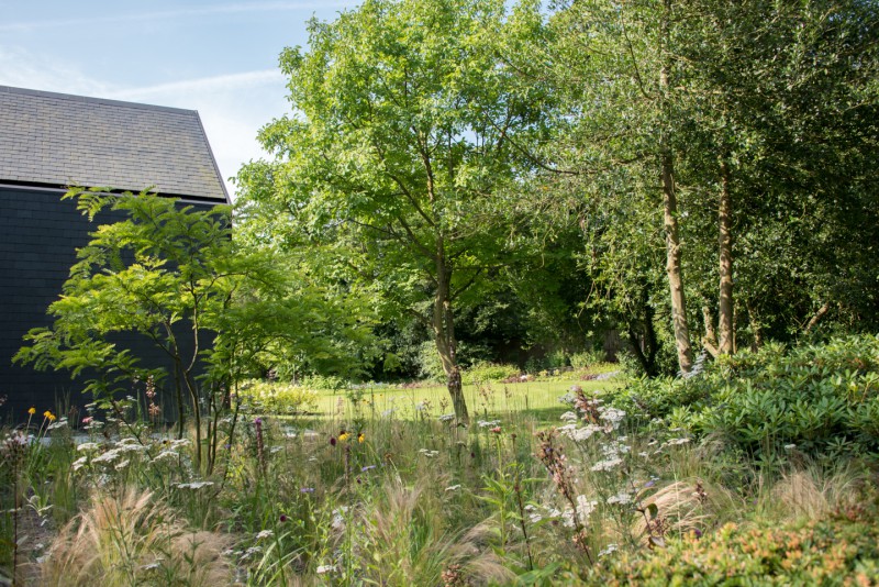 De natuur aan het werk